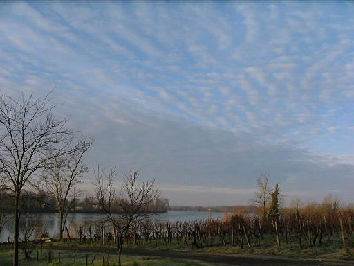 MM #52 -  Tuesday, November 12th @ Loyal Nine 
Celebrate the full moon with Paul Barre, Domaine Cabotte, Division and more!
 mailchi.mp/701f65c17a01/m…