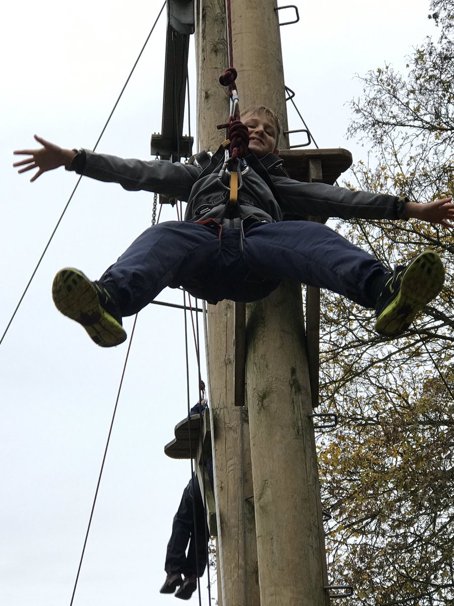 Cam Everlands tweet media