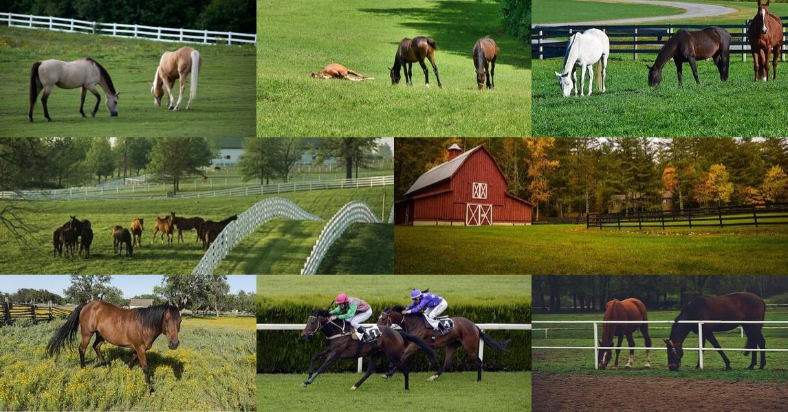 H. Dale Herring/ The Land Man / Keller Williams (landman_kw) Twitter