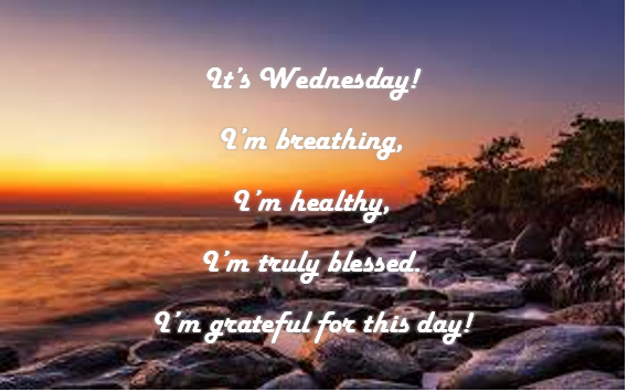 DigiconRocks's tweet photo. Happy Wednesday!! Today is a new day, stay positive, you are blessed! #WonderfulWednesday #Positive #Blessed #DigiConRocks https://t.co/7L6uh7O6qk