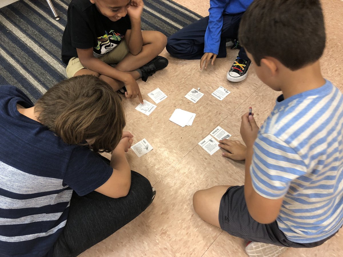 MrsMarksVME's tweet photo. Building food chains with the food chain game from @MysterySci !  @CollierScience @collierschools @VMEPatriots #HavingFunAndLearning https://t.co/xHd60Ekmzq