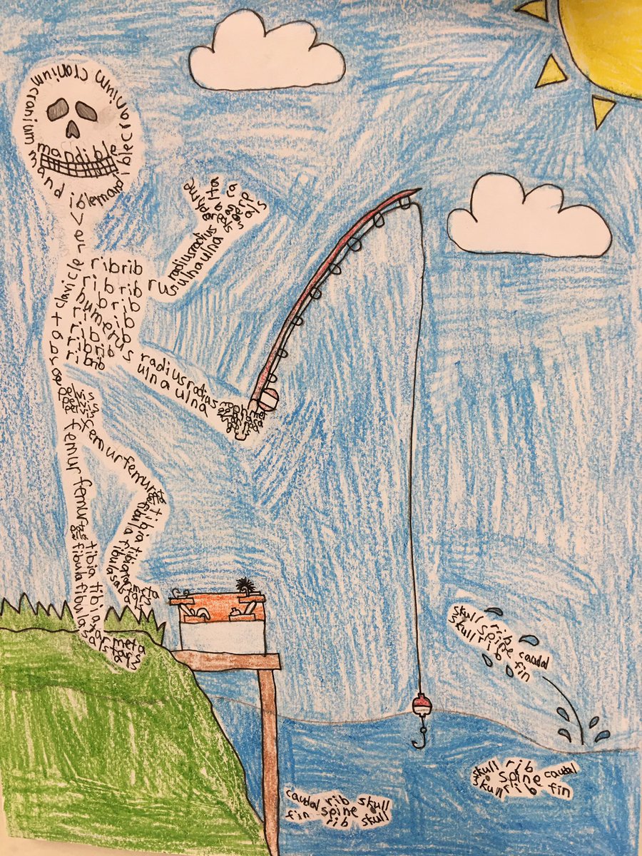 TFantell's tweet photo. My scientific artists studied the skeletal system and created drawings using the names of bones instead of lines. Their finished projects are awesome, make no bones about it! @SCM_Principal #CBGacademies https://t.co/qKWFQoI7Ah