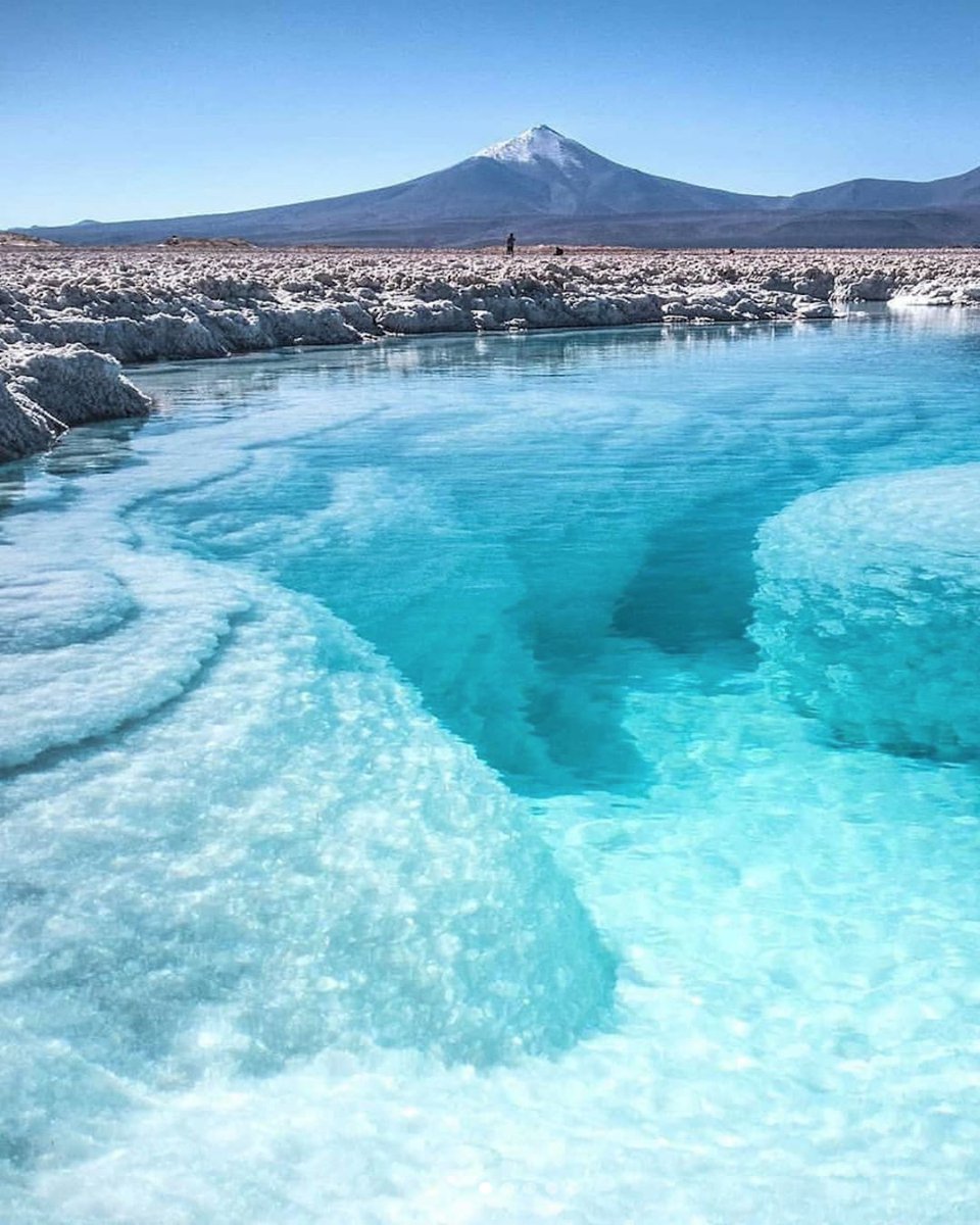 PlanSAmerica's tweet photo. In Chile's Atacama region, the immense salt flat Salar de Pedernales sits to the west of the Cordillera de Claudio Gray. Here, a small lake with crystalline waters is perfect for swimming, while Andean flamingos congregate at its center. ⁣⁠
⁣⁠
#Chile #LuxuryTravel #Atacama https://t.co/k71hWdIJMT