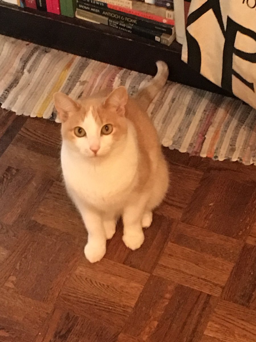 RTHey's tweet image. 