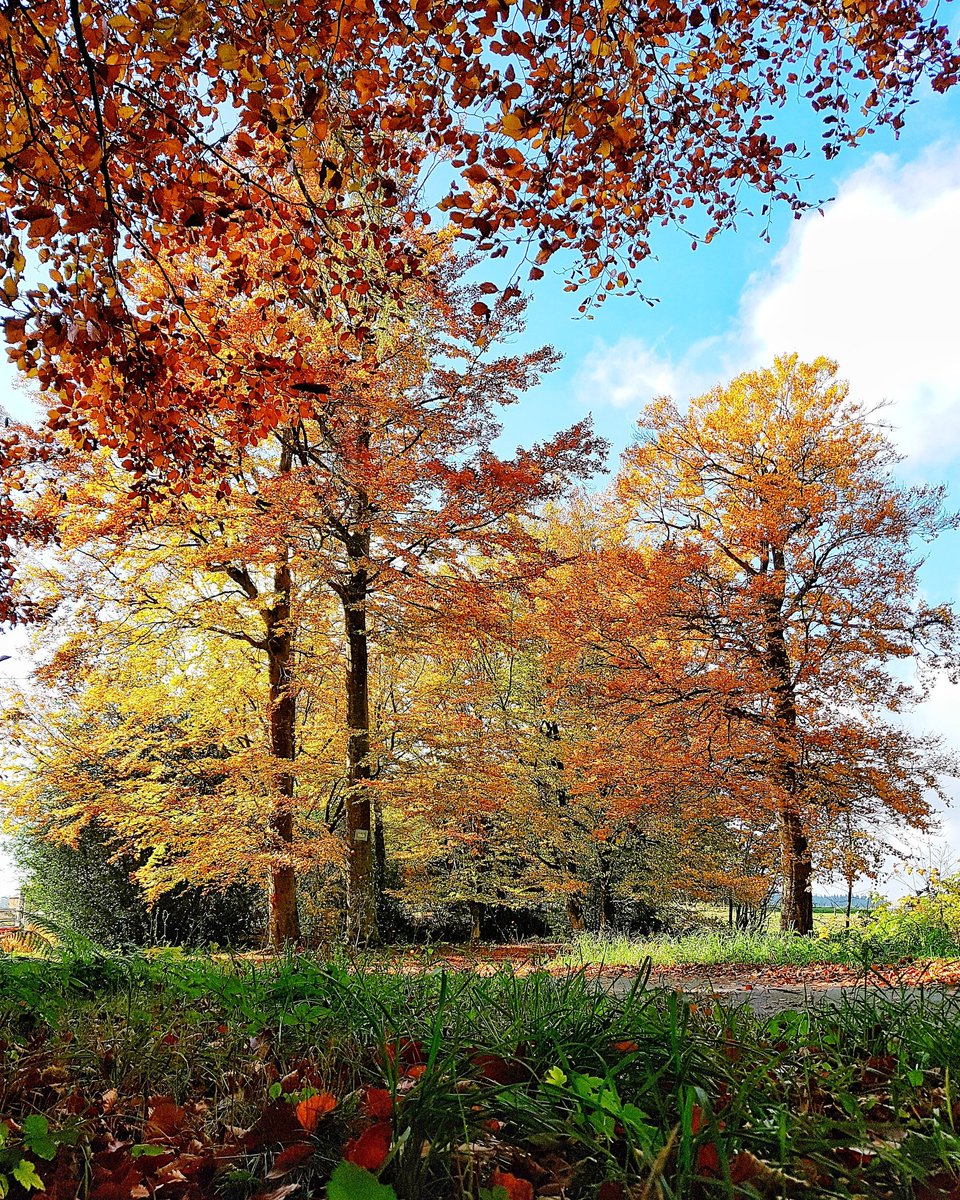 blogslowlife's tweet photo. Quand la beauté de la nature 🍂se trouve à notre porte. 🌲Il suffit simplement de s'accorder un peu temps pour la contempler 🙏👣comme ici dans le Parc du Pilat 🍁
#MagnifiqueFrance #Aura #tourisme42 #igersstetienne 
. https://t.co/3MrYExgrzj