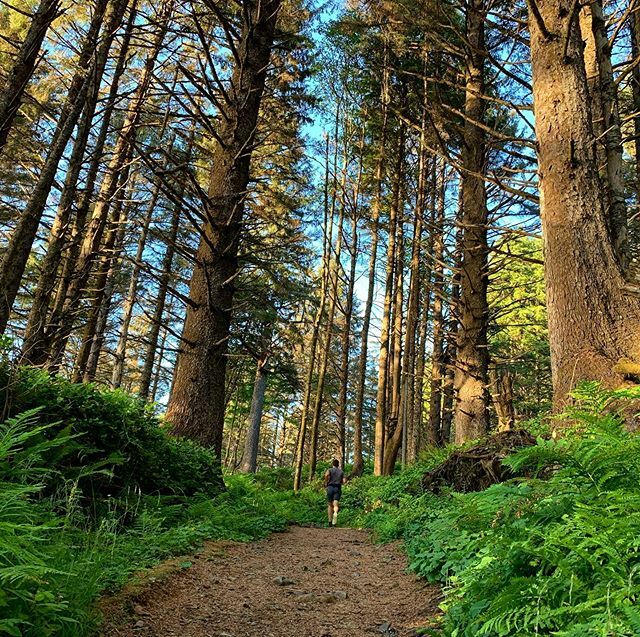 Trail running and tall trees.
#OregonLove
💕 
______________________________________ ift.tt/2Ch6FQ2