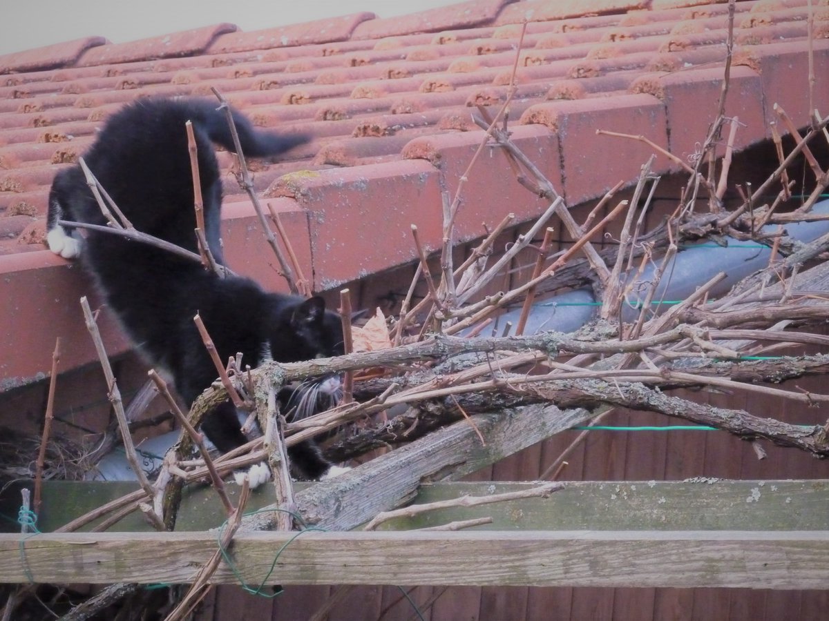 Paula & Donny (@paulaunddonny) on Twitter photo 