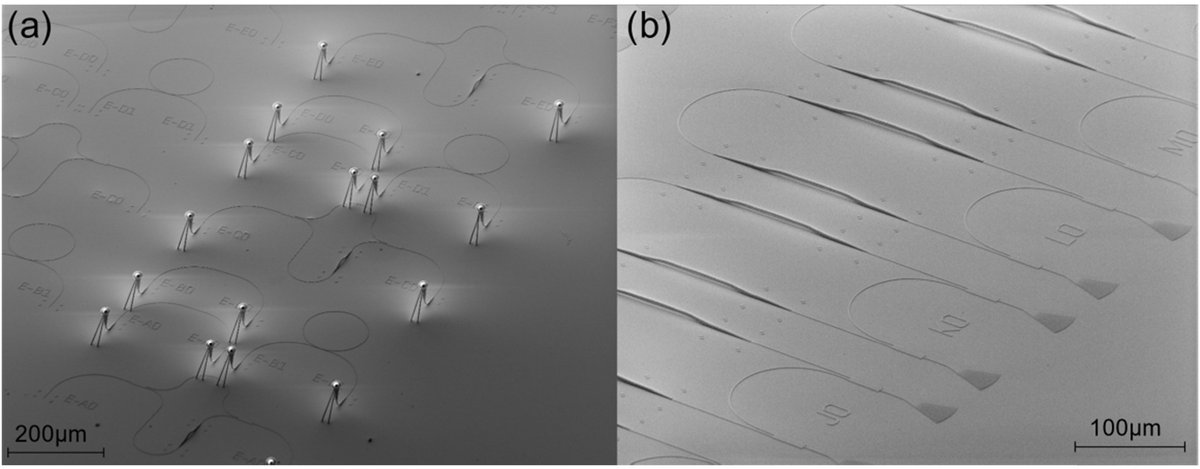 OpticaPubsGroup's tweet image. An Editors' Pick from #OSA_Continuum: Python based open source design framework for integrated nanophotonic and superconducting circuitry with 2D-3D-hybrid integration ow.ly/7UCF50wZsVl #PythonFramework #IntegratedPhotonics @WWU_Muenster