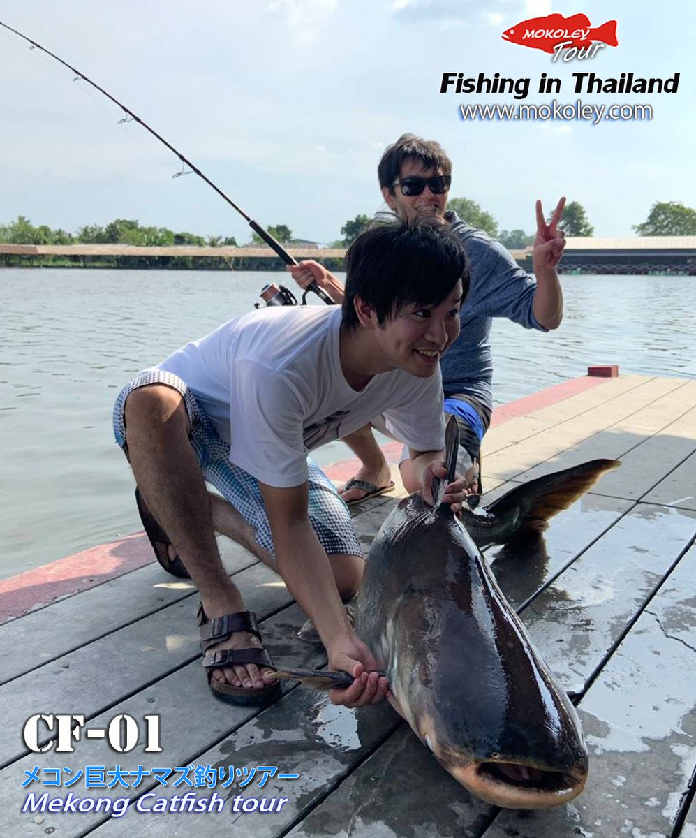 Mokoley モコリー ステキな思い出の旅行には是非 モコリーツアーにお任せください Cf 01 巨大魚釣りツアー T Co Iwrfpxnnfd お問い合わせ Info Mokoley Com ツアー 釣り 釣りツアー 餌釣り パーカーホ タイ旅行 メコンオオナマズ Mokoley モコリー ステキな思い出の旅行には是非 モコリーツアーにお任せください Cf 01 巨大魚釣りツアー T Co Iwrfpxnnfd お問い合わせ Info Mokoley Com ツアー 釣り 釣りツアー 餌釣り パーカーホ タイ旅行 メコンオオナマズ