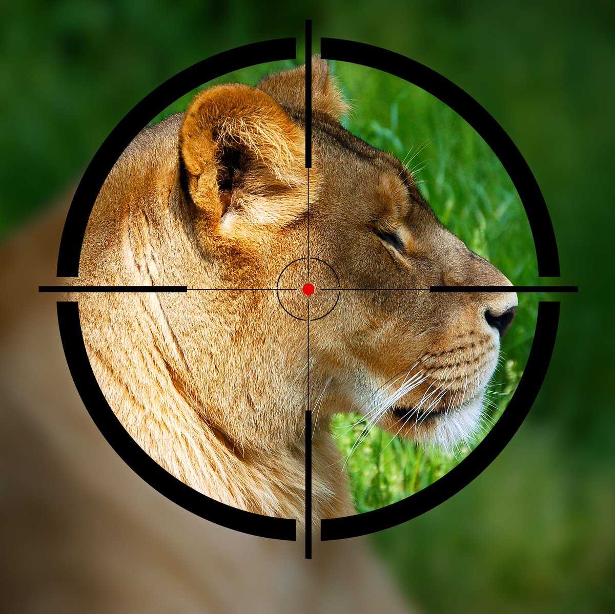 Keep your eye on the target.
#WHATGETSYOUOUTDOORS
#Trailcrest #clothingbrand #clothingline #clothings #tshirts #clothingshop #photooftheday #me #instadaily #styleblogger #instalike #fashion #huntingseason #camo