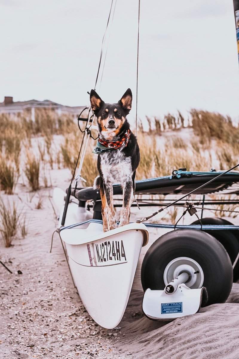 "Photography has become a creative outlet of mine that improves my wellness on a daily basis." -<a href="/DrAmyNJ/">Amy Ondeyka</a> 

We love hearing how the hobbies of EM professionals bring balance to their work. Remember to take time and pursue your own passions!

#WellnessWednesday #emergencymedicine