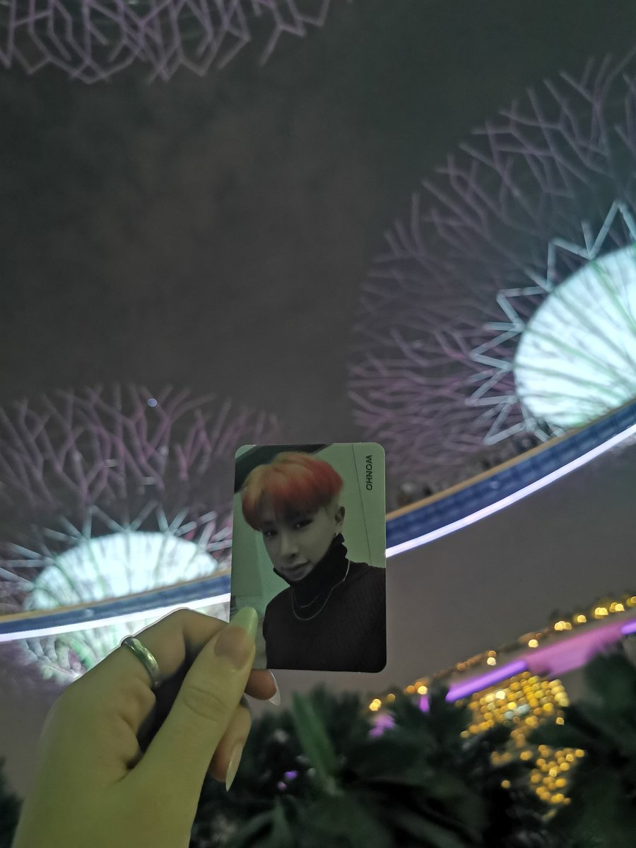 Took you to Singapore with me

Fighting for you under the super trees 🌴❤️🌿🇸🇬

#MonstaX7ShineForever #MakeHistoryForWonho