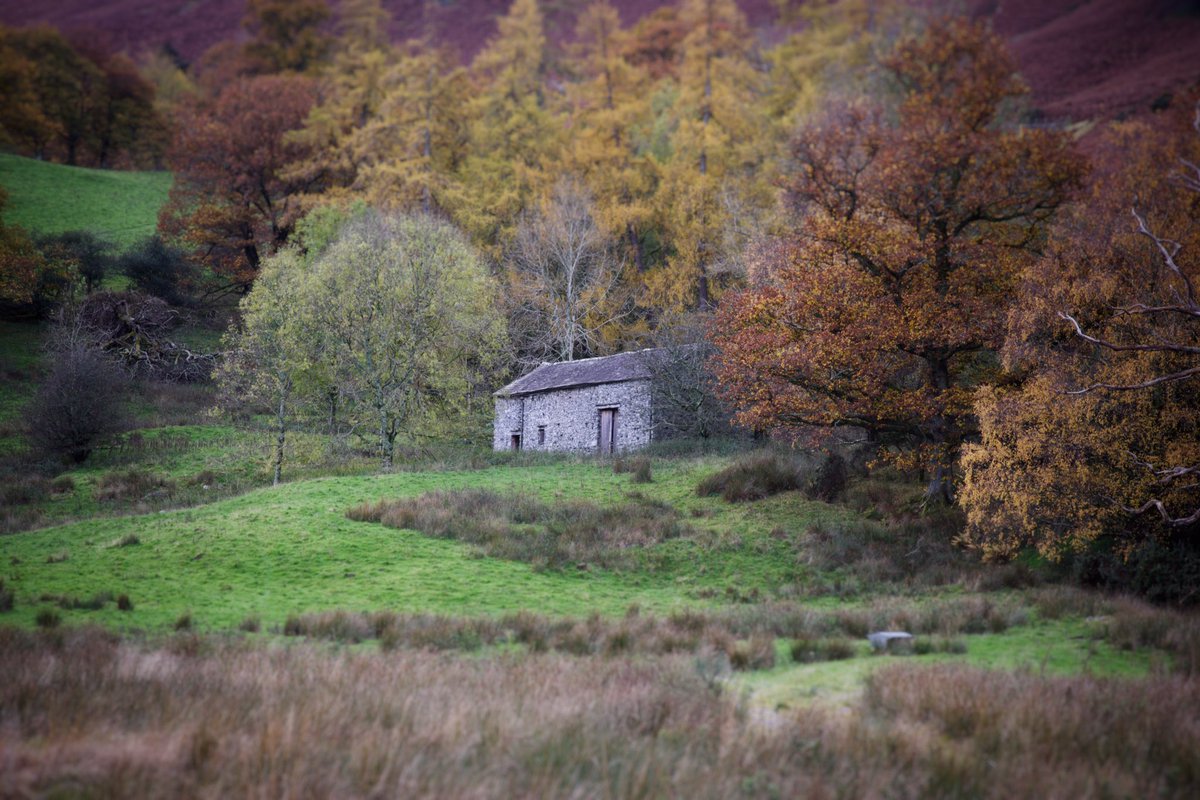 Spotted my new holiday cottage. #LakeDistrict #Keswick #autumnfalls #autumnvibes #cottage #Countryside #photo #colours #hiking #mountaineering #landscapephotography #Britain #BritainsLostMasterpieces #Cumbria #ThePhotoHour #dailyphoto #art #derwentwater #photographyislife