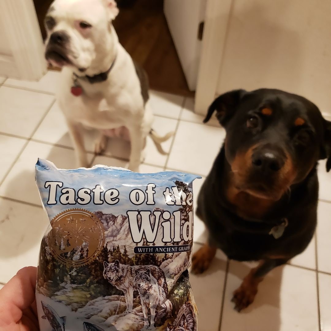 briag79's tweet photo. My dogs couldn't wait to get their paws on this sample of Taste of the Wild dog food! #complimentary #WildForAncientGrains #TOTWAncientGrains @TasteoftheWild @influenster https://t.co/eJeHfY6QIu