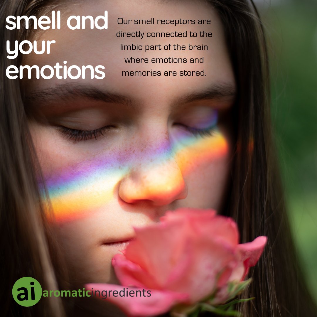 Our #smell receptors are directly connected to the limbic part of the brain where emotions and memories are stored. This part of your brain can trigger powerful memories and sometimes evoke strong emotions to a certain #fragrance. #aromaticingredients
