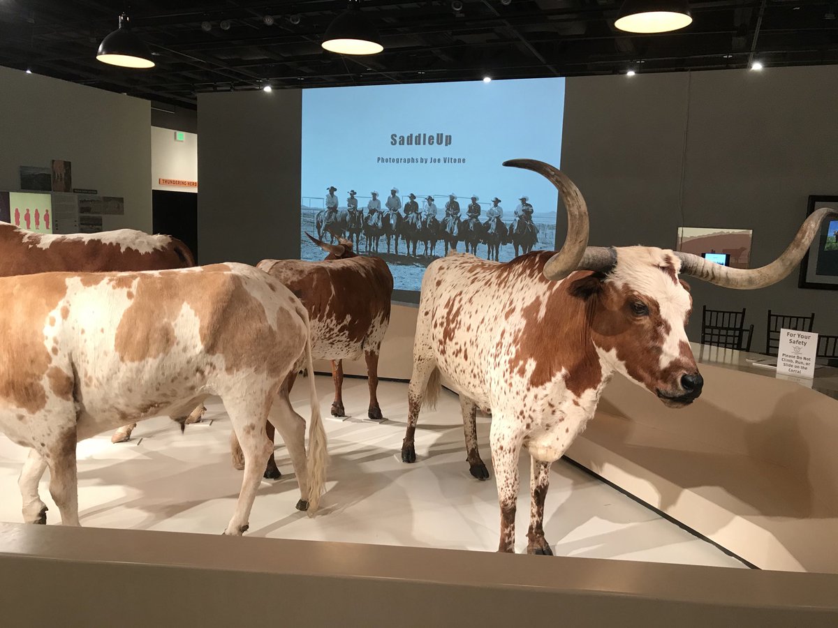 PolkaWorks's tweet image. The stage is set...#cattleraiser