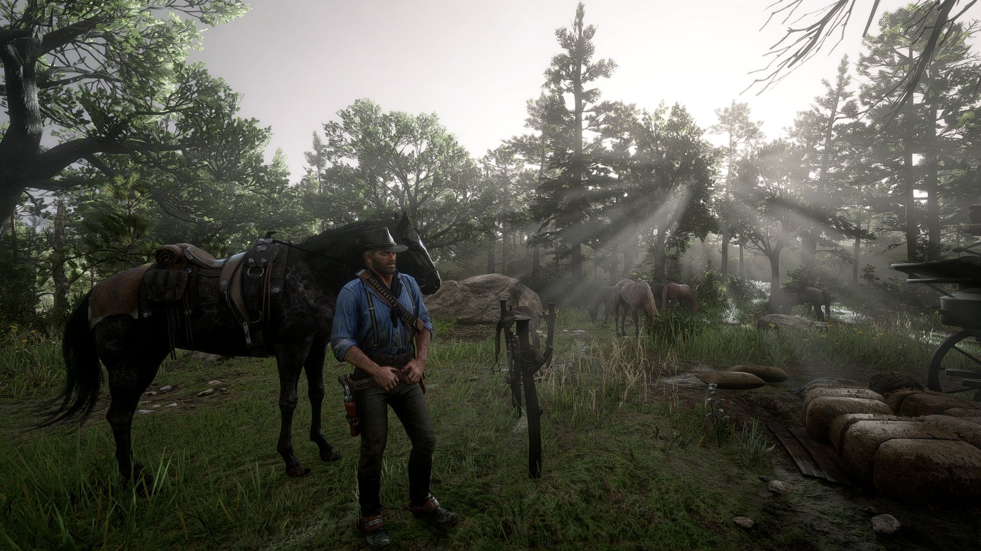 “RED DEAD REDEMPTION 2 PC (Photo Mode) #RDR2PC #RDR2 #RedDeadRedemption2 #A...