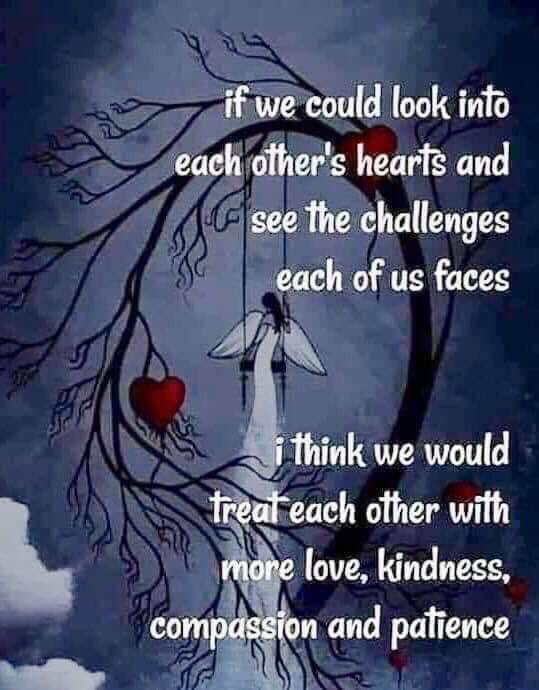 #choosekind #wonderfulworldofwis #4houses1family #bethewildcard #pcss