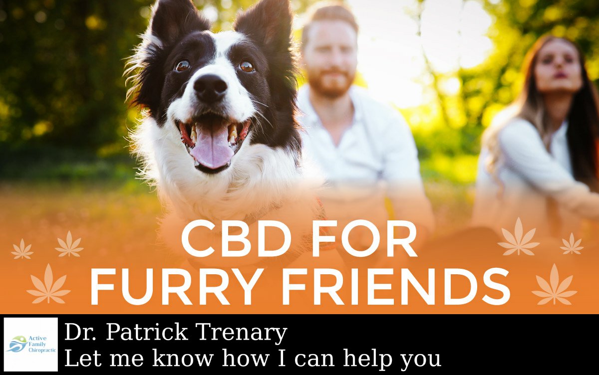 Separation anxiety? Bad hips? Treat your pet to some #CBD!