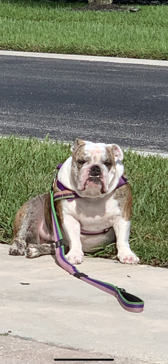 AnglerMasked's tweet image. Hey y’all, been too busy to holla lately but what’s cookin?