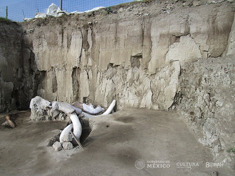 Ver imagen en Twitter