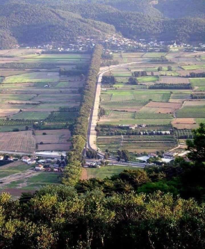 SedatCobandere's tweet photo. Tarih 1938'di.

O yıllar Ege'nin kuş uçmaz, kervan geçmez bir köyünde, bir muhtar halkla elele vererek önemli işlere imza atıyordu..
Muhtar aydın, çalışkan, çok sevilen, doğayı çok seven, çok bilge bir insandı..

Yörede nam salmıştı.. https://t.co/rFcf1ofgMv