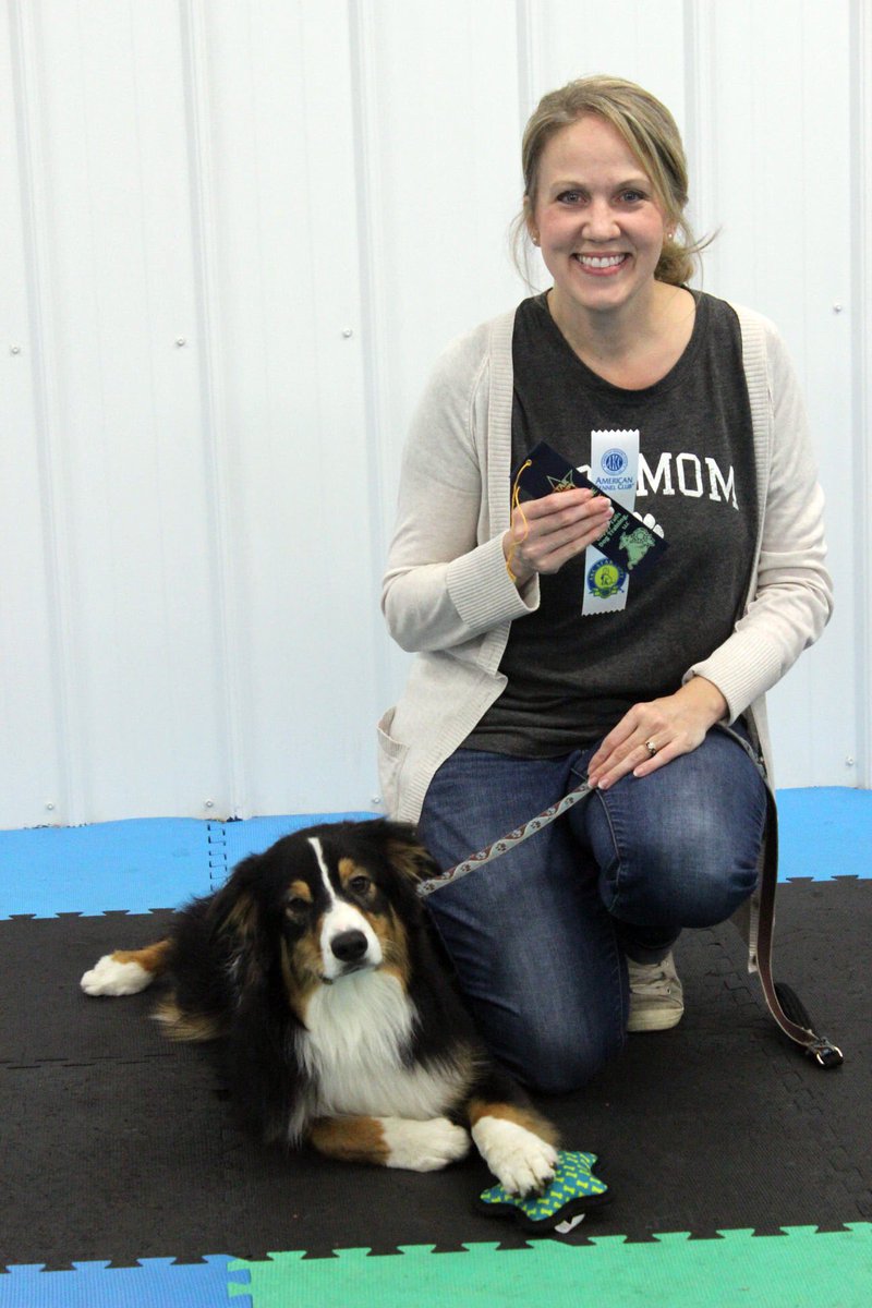StacyMusick's tweet photo. Charlie passed his AKC Star Puppy training. First step on his journey to therapy dog. This little fella has a lot of personality and charms everyone he meets! #puppy #akc #dogtraining https://t.co/okeZpEVxlB