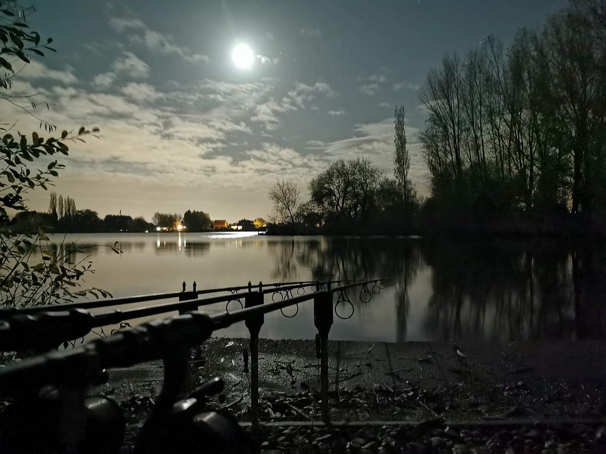 brian_dixon189's tweet photo. A stunning "on the bank" shot sent in by Louis Lyon..
Let's see those moody autumn shots!!
https://t.co/tYKY3XihWJ
#talkingcarpmagazine #talkingcarp https://t.co/vmKQLj5XS3