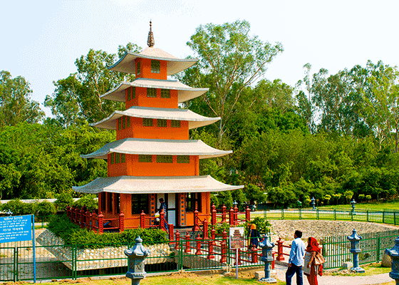 CourtyardPvt's tweet photo. "We have short listed amazing tourist places in chandigarh for visit with details. You will fall in love with these locations and enjoy time which you gone spend."
https://t.co/rX9mrTFvku https://t.co/1ap2BQfdNP