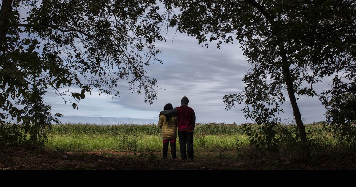 hrw's tweet photo. Brazilians Poisoned by Pesticides Sprayed Near Homes and Schools https://t.co/CMM82X6f75 https://t.co/3v0jAXYSHZ