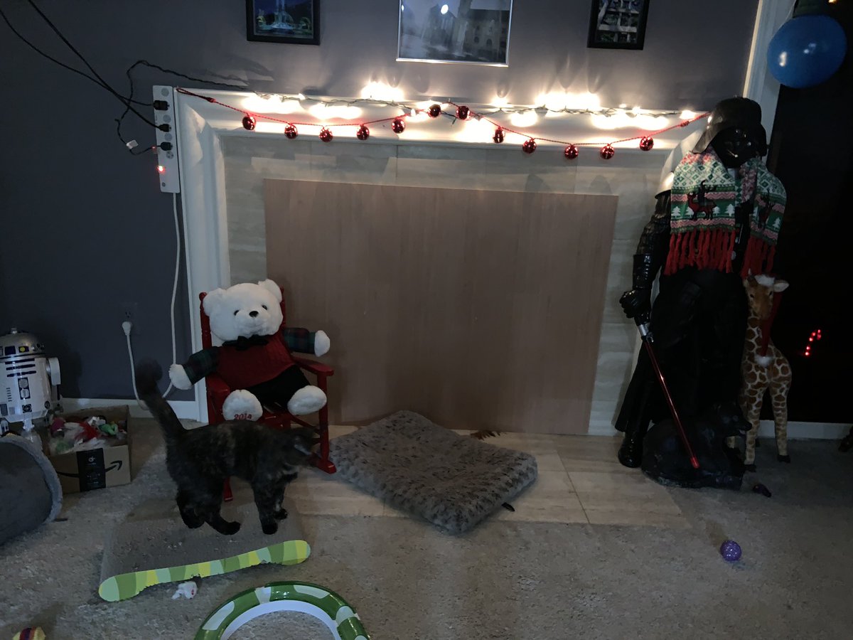 FlatOutAdopted's tweet photo. Sometimes it’s hard to get into the holiday spirit. The last time my birth mom and I talked with love was over Christmas 3 years ago. I know it’s early to decorate but I’m happy 😊 #NAAM2019 #NAAM #NAAM19 #christmas #holidays https://t.co/IJ4289qQFp
