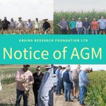 Photo by Grains Research Fnd (@GrainsResearch)