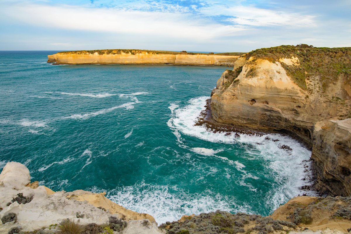 Wildlife_Tours's tweet photo. Traveling from #Melbourne to 12 Apostles on a #GreatOceanRoad tour is one of the most popular day trips from Melbourne. 

#visitgreatoceanroad #daytourfrommelbourne #visit12apostles

Quick &amp; Easy online booking from Best Australia Tour Operators 👏
https://t.co/xFoEhkbL5d https://t.co/9dYIkrO2GC