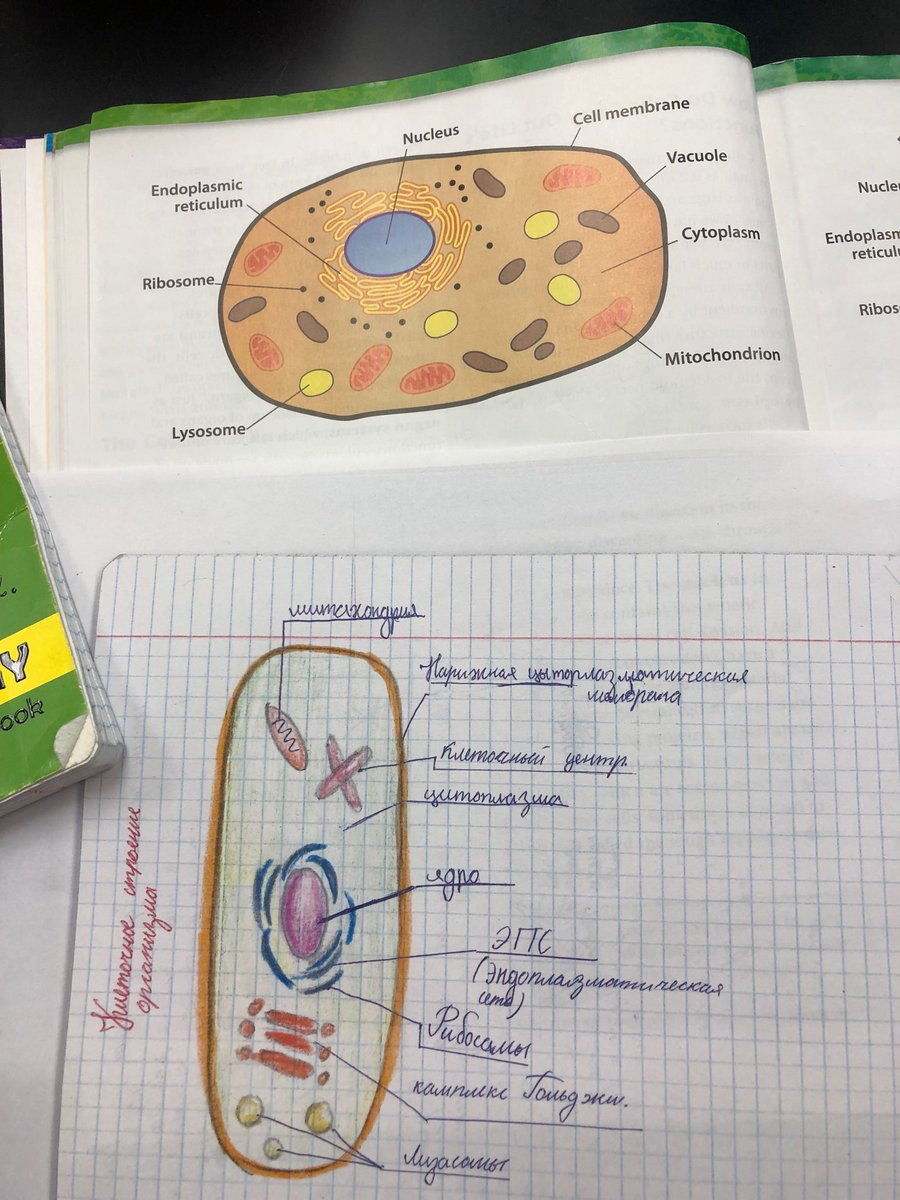 Panther student returns from Russia where she studied cells just like we are! Science is International! #d57learns