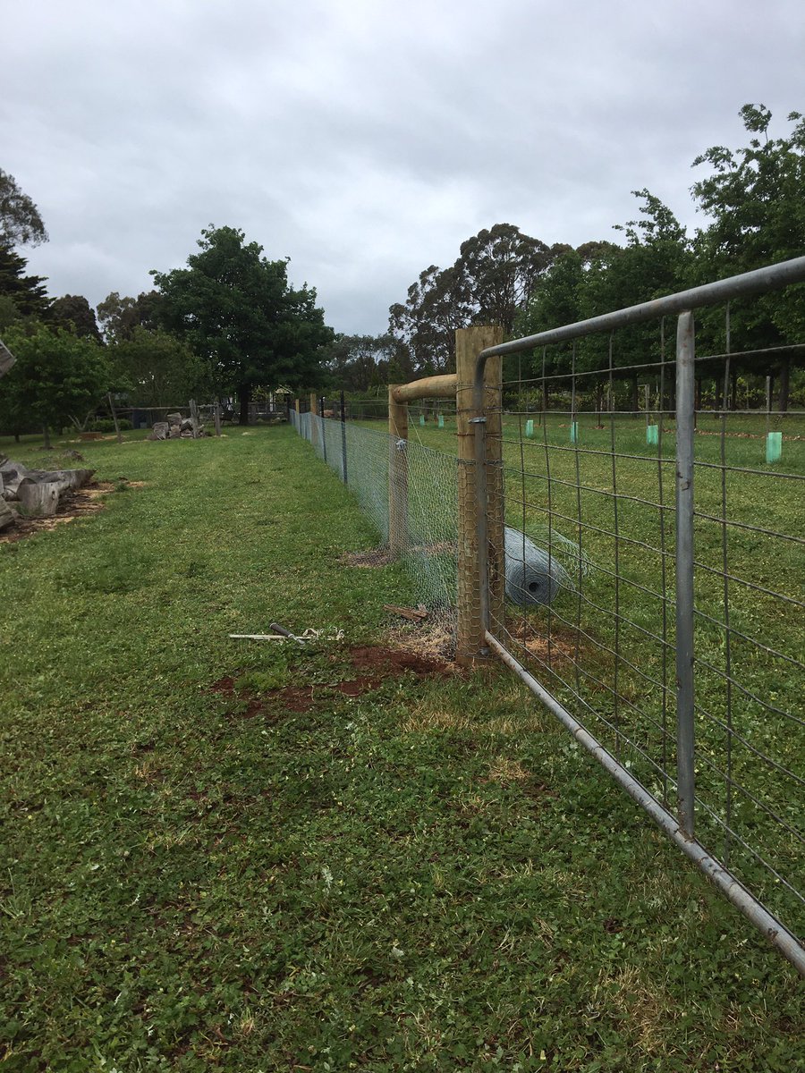 A finished fence is ajoy to behold. Keep those wascally wabbits out. #simplepleasures #truffles #blackcattruffles #trufflemaintenance