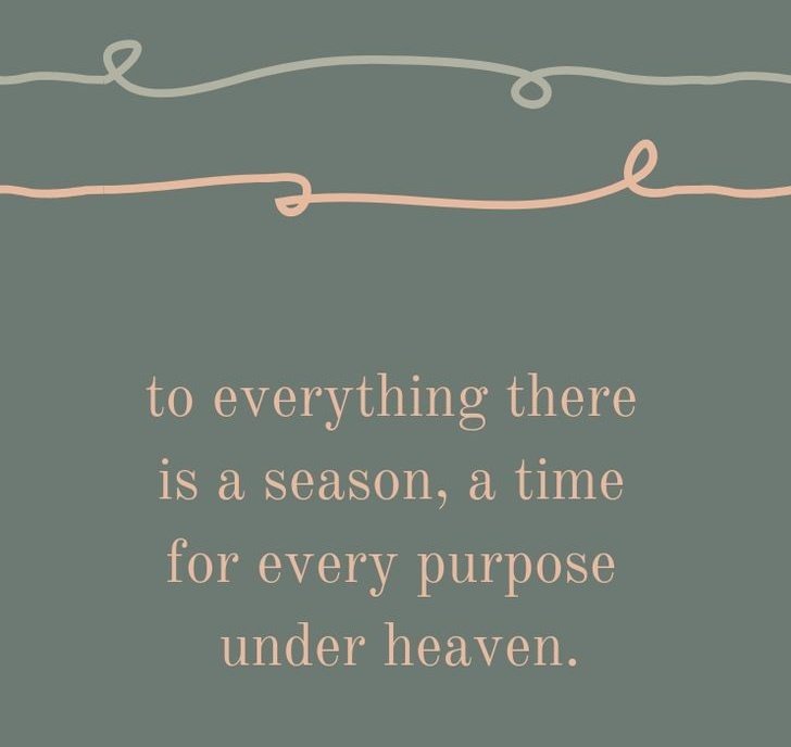 ashjjkk's tweet image. #timeforeverything
#bepatient
#ThursdayMotivation