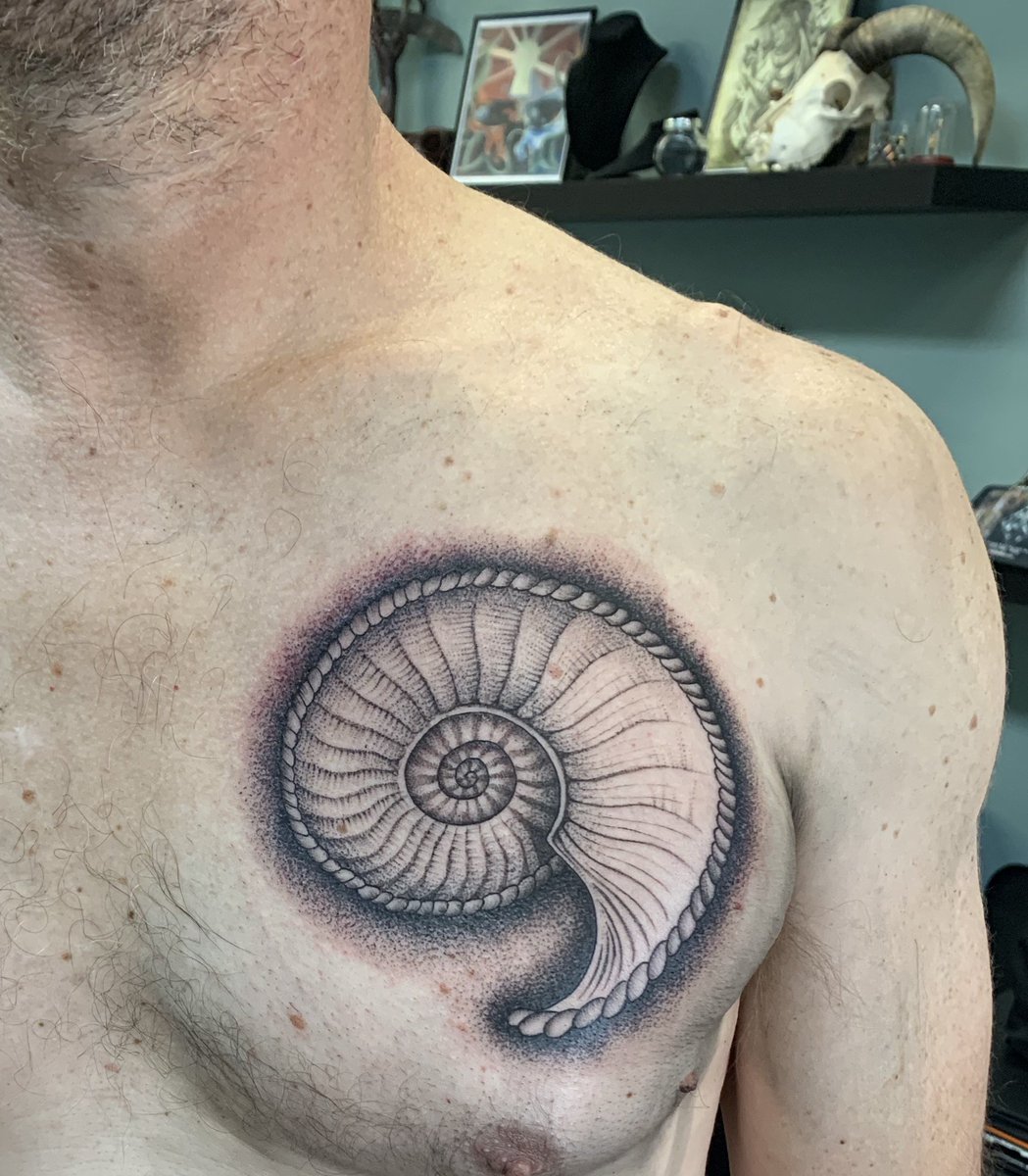 New ink! Ammonite as drawn by 19th C. naturalist Ernst Haeckel. #tattoos  #cephalopods #scienceink, image size:1049x1200