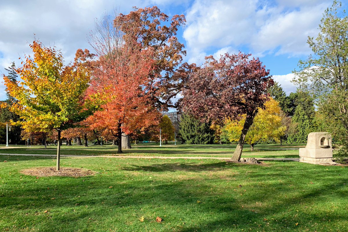 cplong's tweet photo. The #ResilientTree (right) and the beech tree honoring survivors (left) are putting on a beautiful show of fall colors with their arboreal colleagues this week! https://t.co/UmsPGJqVtt
