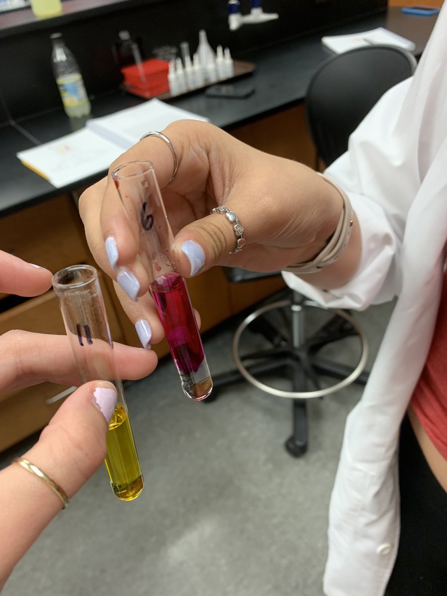 jardsd's tweet photo. This lab was ABSOLUTELY MY FAVORITE ONE YET! it was super fun learning how to find patient ZERO💀 #zombieoutbreak #sciencetotherescue #ELISA #parientzero #strawberryDNA https://t.co/MbJYeFIwoV