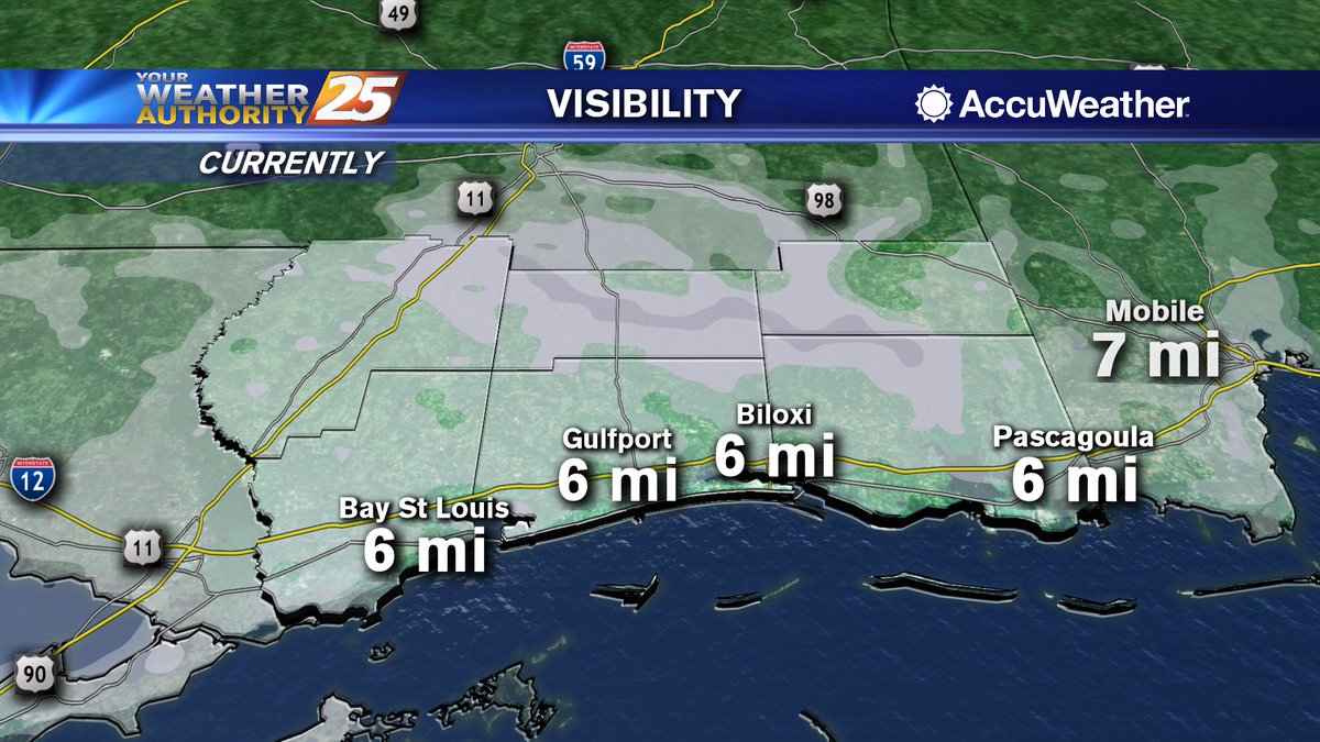 RyanMahanWx's tweet photo. It's warmer and more humid, and visibility issues have already started popping up. Find out what lies ahead in 15 minutes on FOX @WXXV25. #WeatherAuthority #YourLocalChoice https://t.co/g5mKtLEH3r