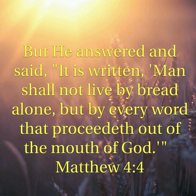 Daily Egw Quotes Egw Quotes Twitter