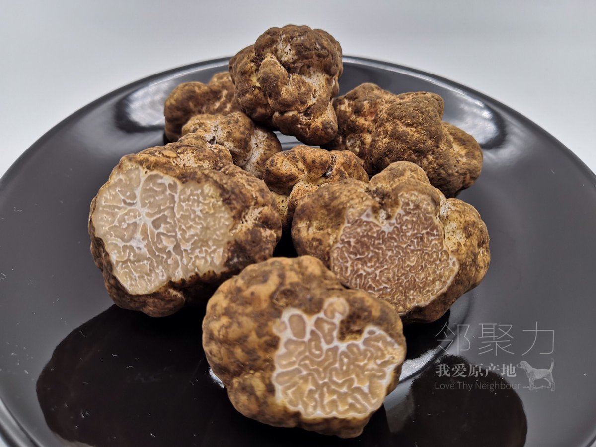 chinesetruffles's tweet photo. #shanghailife #shanghaichef #chinachef #hkchef #bangkokchef #nychef #beijingchef #chefstable #trufflehk #mumbaichef #michelinguide #michelinstarchef #frenchrestaurant #italianrestaurant #spanishrestaurant https://t.co/C2FbyIu5Ph