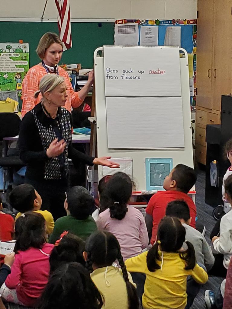 Learning labs at Mark Twain today. Watching Sue Kempton in action with Choice Reading, Talk on the oval and Morning Discovery. #D63success