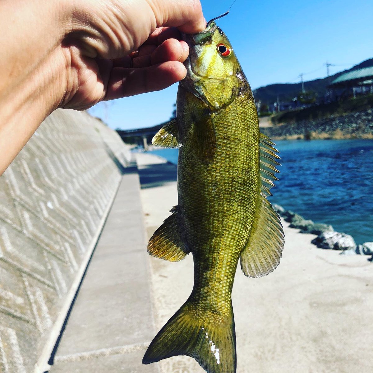 東京から電車でバス釣り