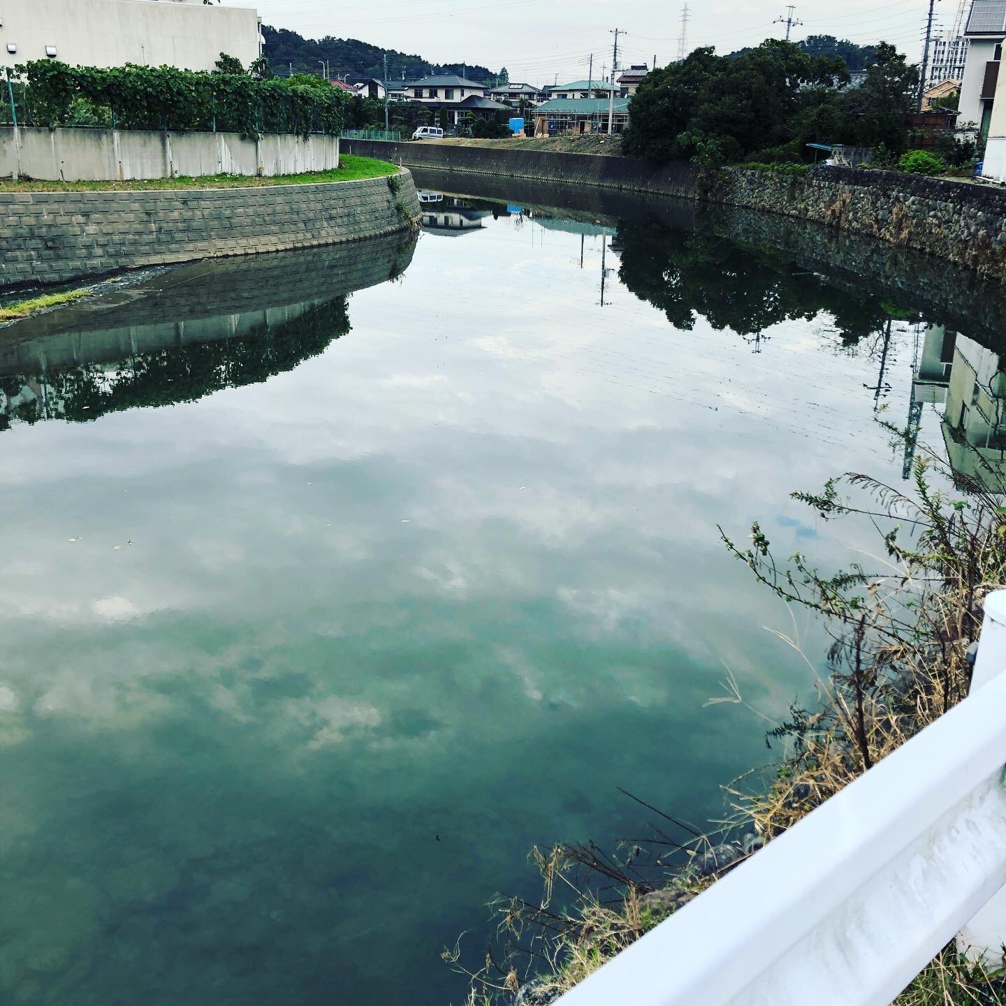 代々木原シゲル 小川町移住 Auf Twitter 代々木原シゲルの 東京から電車でバス釣り インスタが凄いことになってます 毎週 毎週フォロワーさんがお店を訪ねてくれて 本気で出逢えるsnsになってます 埼玉バス釣り 弁慶堀 小川町バス釣り 東京から電車でバス