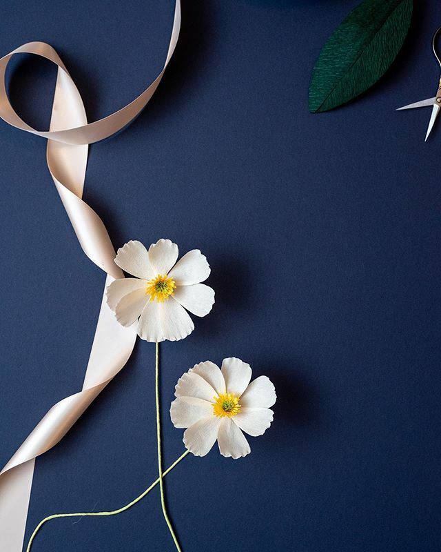 PaperSwallowEve's tweet photo. Thrilled to pieces to be teaching a workshop on how to make these dainty cosmos blooms at @skinnydipcharleston later this month!⠀
⠀
Come join me on 11/18 at 5:30pm! We’ll be talking all things paper flowers and you’ll walk away knowing how to make these lovelies. More info a… https://t.co/X1Fram1B7S