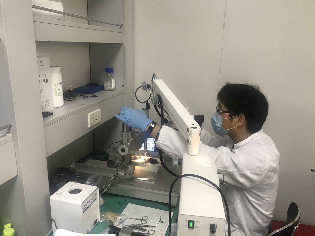 Shuai0701's tweet photo. students in my lab https://t.co/irR8BoyCPF
