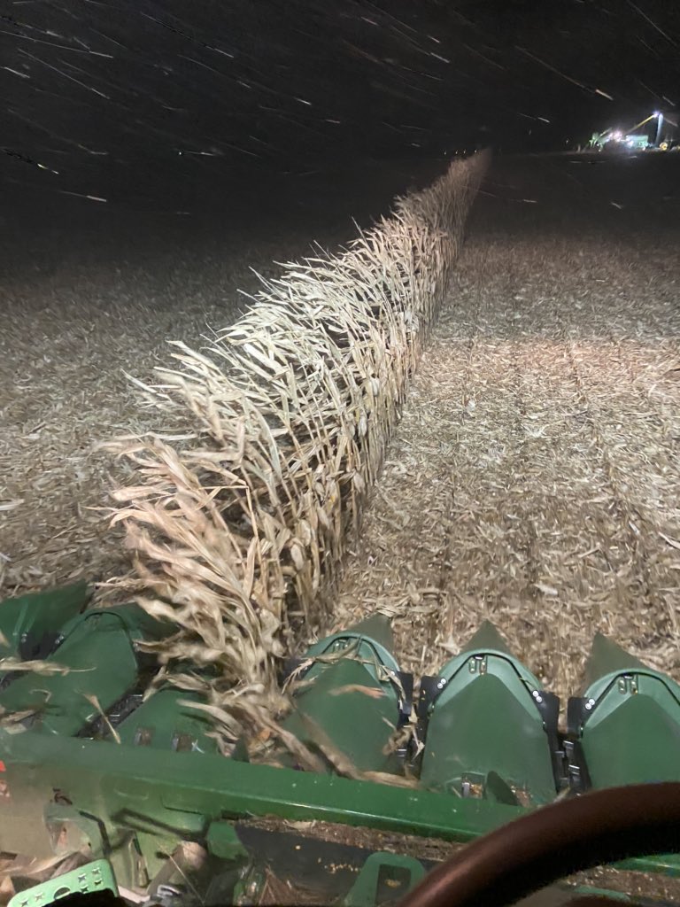 derek_vollmer97's tweet photo. ...
the row of shame..

#agtwitter https://t.co/cowbGetmsq