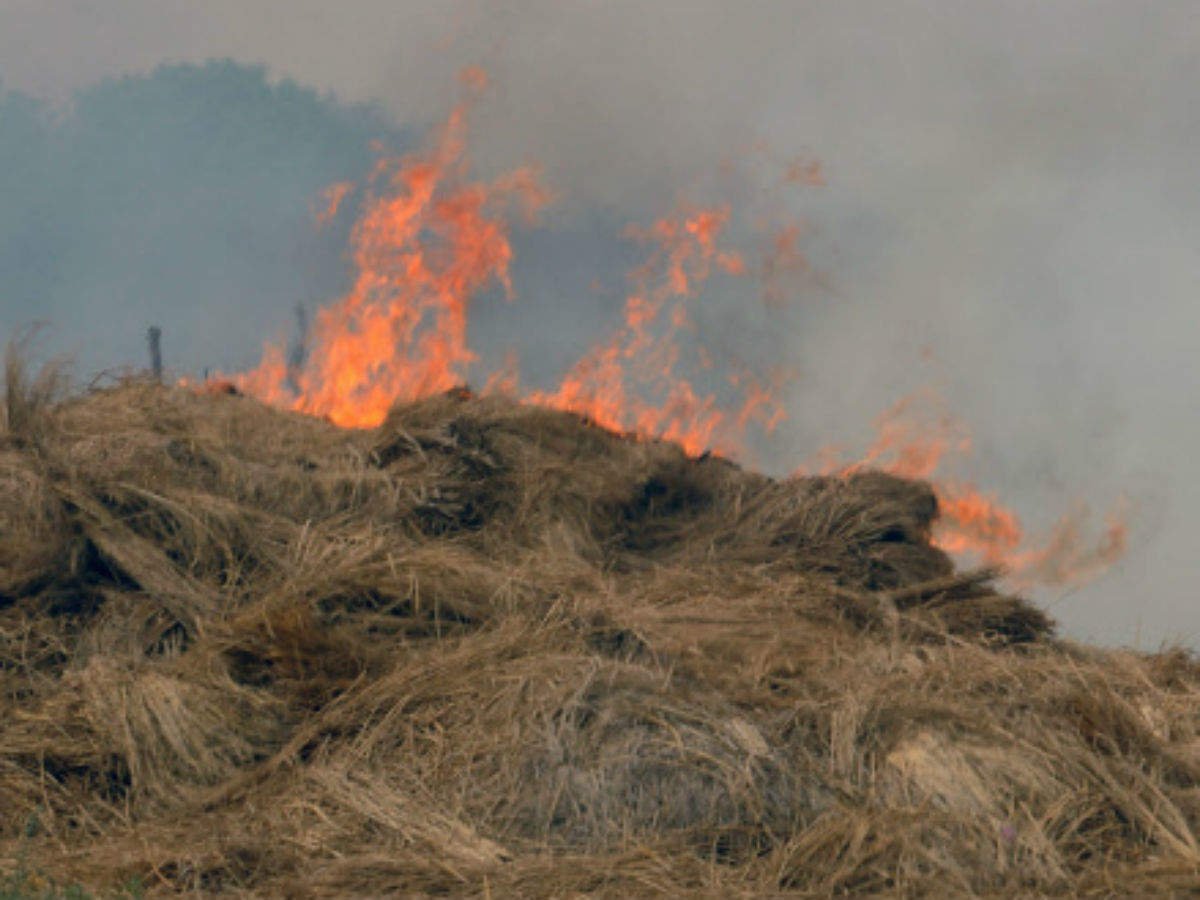 Manage stubble to control air pollution: Recycling it can reduce weedicide use by 70% and water use by 40% 

Today's op-ed in TOI 👇

bit.ly/2oTGw6G
