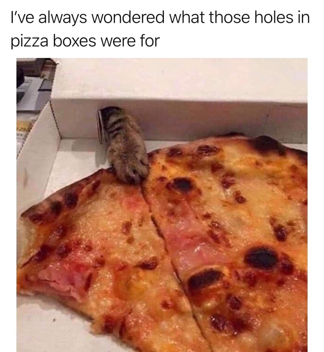 NonNormie's tweet photo. https://t.co/jVNOKNbbvr